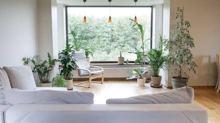 How Seasonal Changes Reveal The Strength Of Home Design?